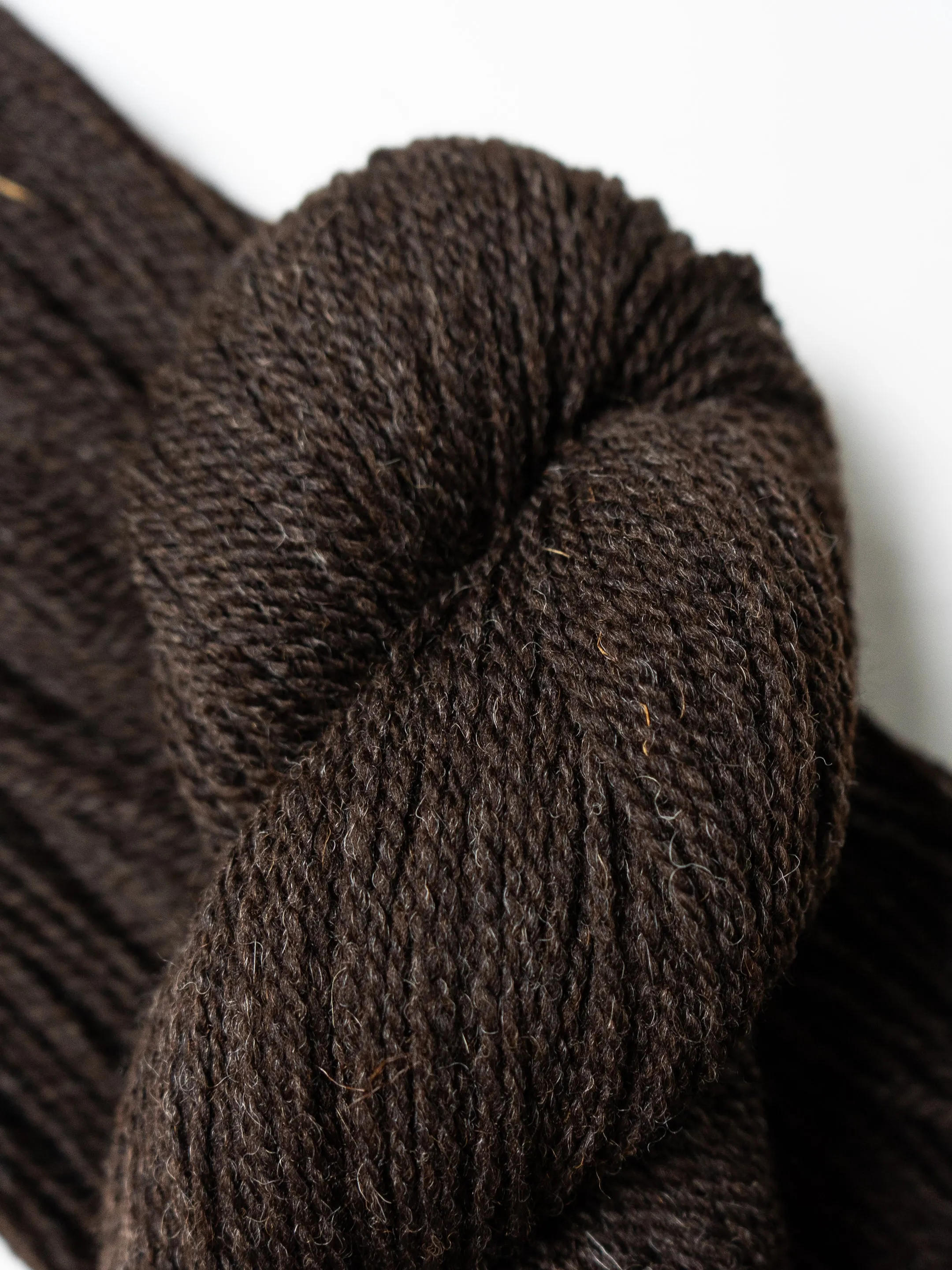 Black Welsh Mountain Worsted<br><small>100% black welsh mountain</small>