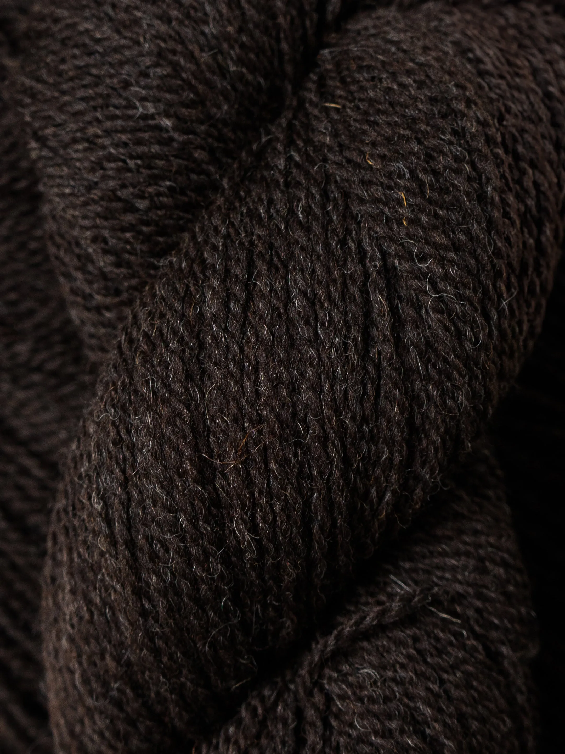Black Welsh Mountain Worsted<br><small>100% black welsh mountain</small>