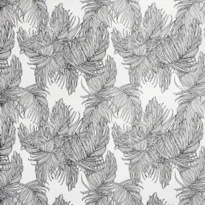 PALMS EBONY OYSTER